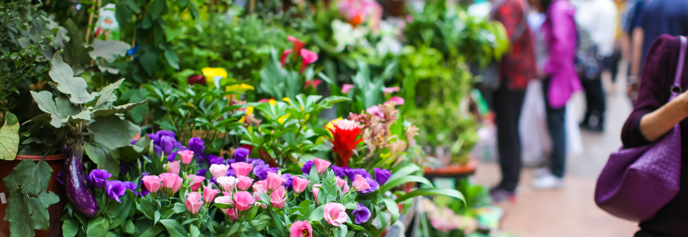 Black Friday Tips and Tricks for Garden Centres